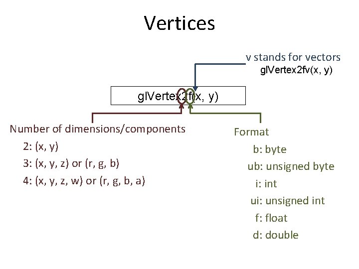 Vertices v stands for vectors gl. Vertex 2 fv(x, y) gl. Vertex 2 f(x,