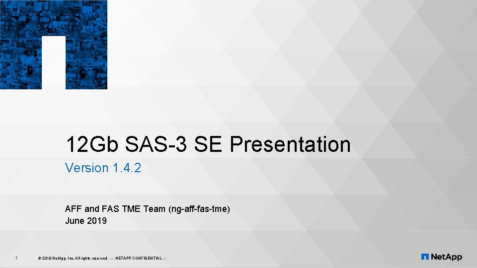 12 Gb SAS-3 SE Presentation Version 1. 4. 2 AFF and FAS TME Team