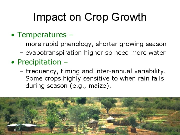 Impact on Crop Growth • Temperatures – – more rapid phenology, shorter growing season