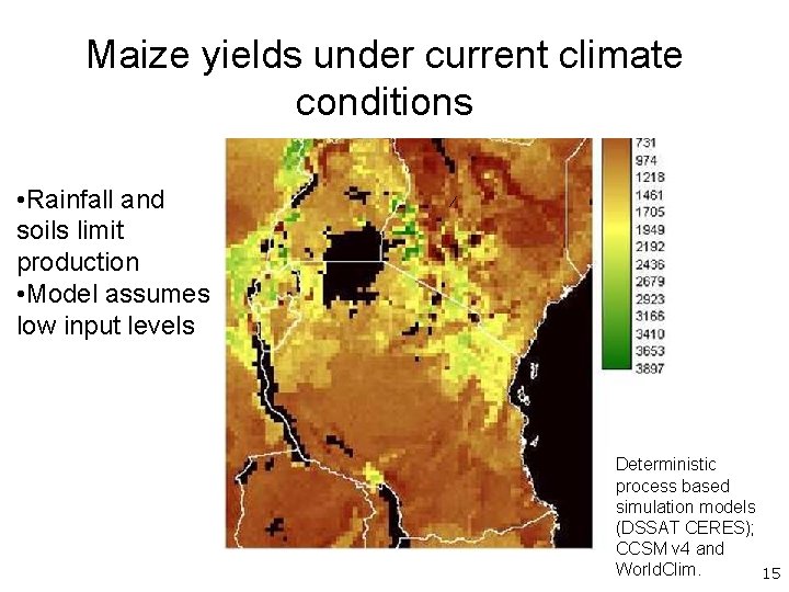 Maize yields under current climate conditions • Rainfall and soils limit production • Model