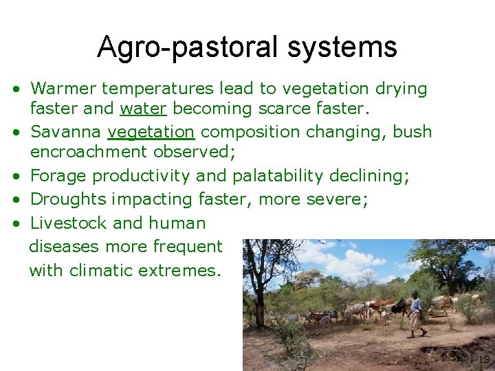 Agro-pastoral systems • Warmer temperatures lead to vegetation drying faster and water becoming scarce