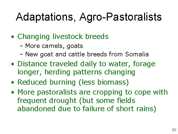 Adaptations, Agro-Pastoralists • Changing livestock breeds – More camels, goats – New goat and