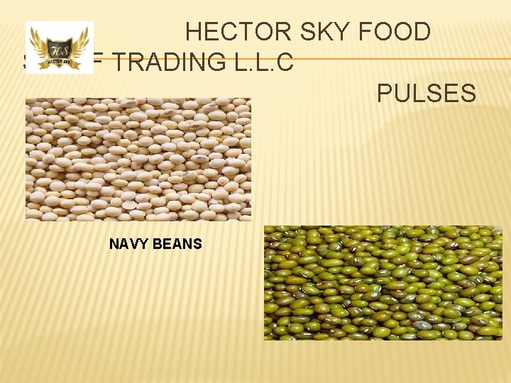 HECTOR SKY FOOD STUFF TRADING L. L. C PULSES NAVY BEANS 