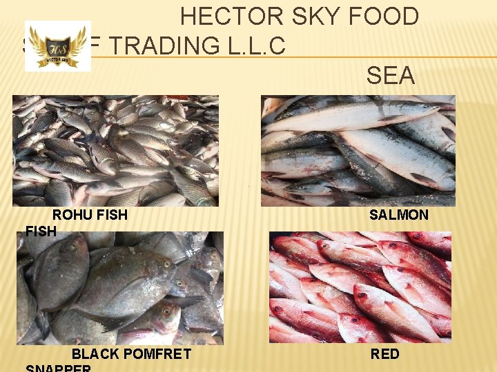 HECTOR SKY FOOD STUFF TRADING L. L. C SEA FOOD ROHU FISH BLACK POMFRET