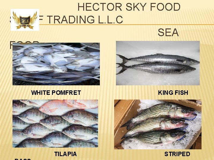 HECTOR SKY FOOD STUFF TRADING L. L. C SEA FOOD WHITE POMFRET TILAPIA KING