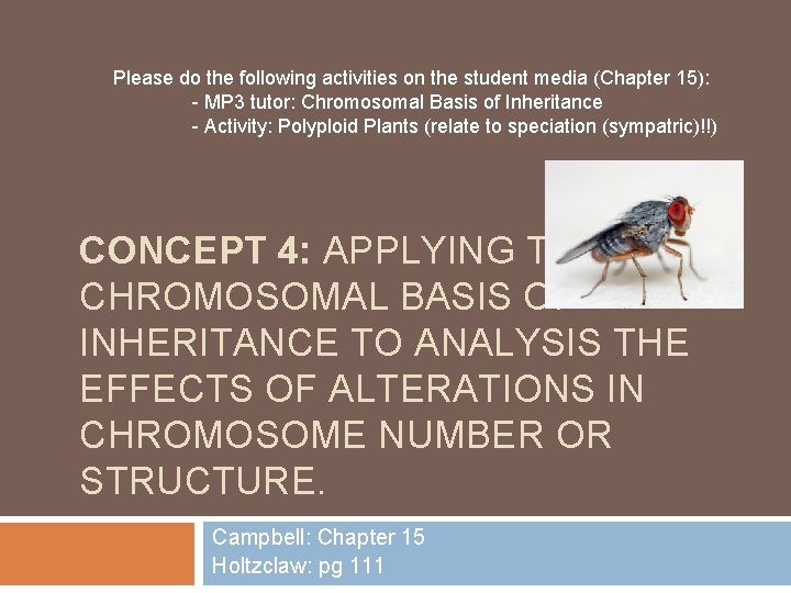 Please do the following activities on the student media (Chapter 15): - MP 3