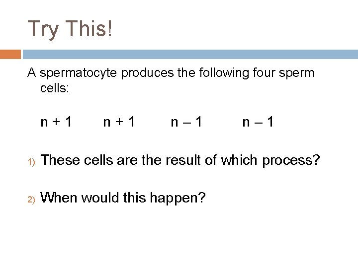 Try This! A spermatocyte produces the following four sperm cells: n+1 n– 1 1)