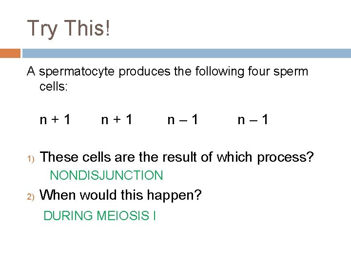 Try This! A spermatocyte produces the following four sperm cells: n+1 1) n+1 n–