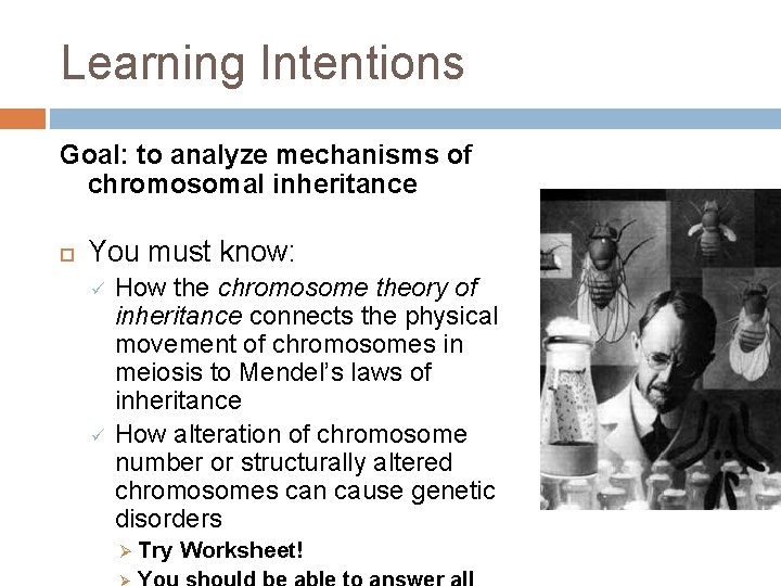 Learning Intentions Goal: to analyze mechanisms of chromosomal inheritance You must know: ü ü