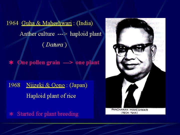 1964 Guha & Maheshwari : (India) Anther culture ---> haploid plant ( Datura )