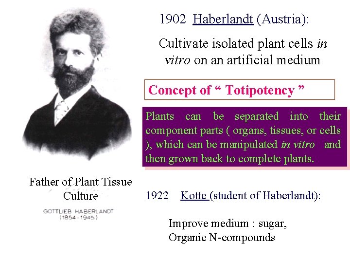 1902 Haberlandt (Austria): Cultivate isolated plant cells in vitro on an artificial medium Concept