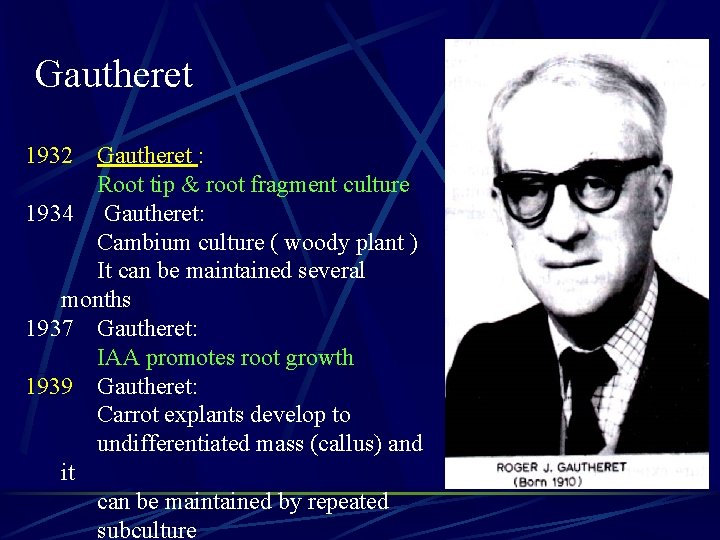 Gautheret 1932 Gautheret : Root tip & root fragment culture 1934 Gautheret: Cambium culture