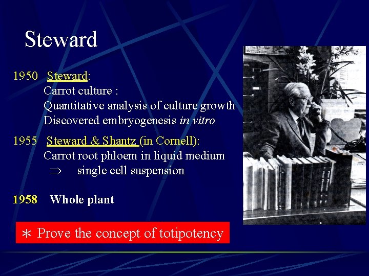 Steward 1950 Steward: Carrot culture : Quantitative analysis of culture growth Discovered embryogenesis in