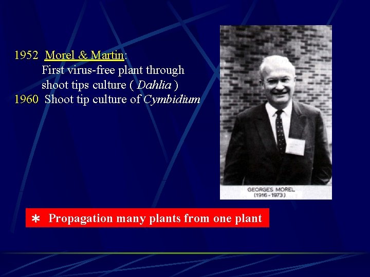 1952 Morel & Martin: First virus-free plant through shoot tips culture ( Dahlia