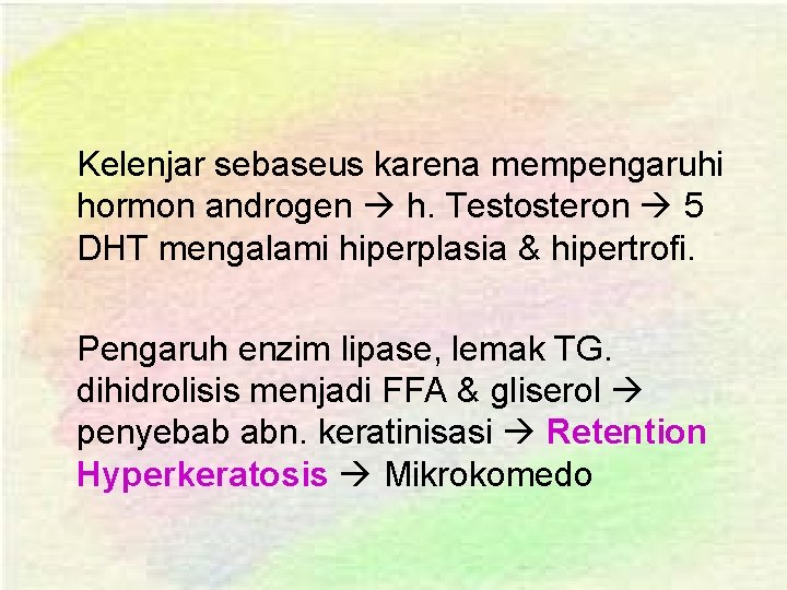 Kelenjar sebaseus karena mempengaruhi hormon androgen h. Testosteron 5 DHT mengalami hiperplasia & hipertrofi.