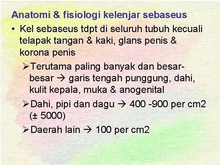 Anatomi & fisiologi kelenjar sebaseus • Kel sebaseus tdpt di seluruh tubuh kecuali telapak