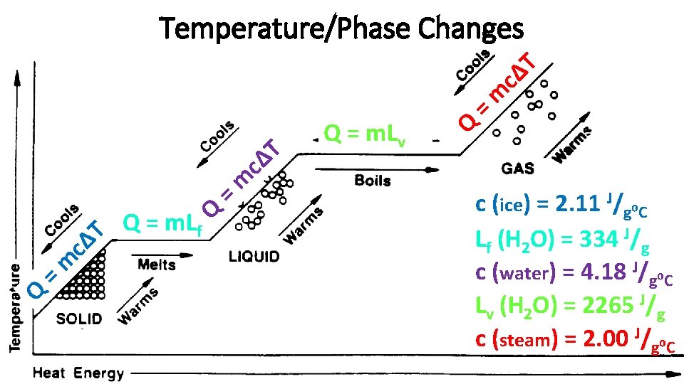 Q = m cΔ T Temperature/Phase Changes Q = m. Lf Q = m