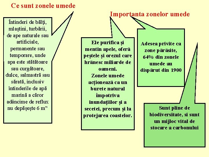 Ce sunt zonele umede Importanta zonelor umede Întinderi de bălţi, mlaştini, turbării, de ape