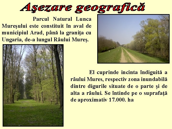 Parcul Natural Lunca Mureşului este constituit în aval de municipiul Arad, până la graniţa