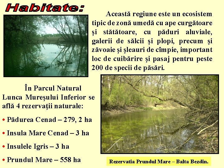 Această regiune este un ecosistem tipic de zonă umedă cu ape curgătoare şi stătătoare,