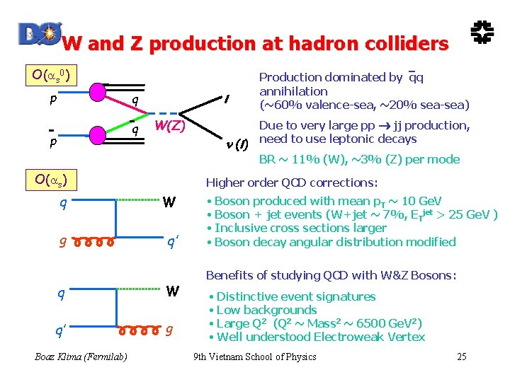 W and Z production at hadron colliders O( s 0) p q q p