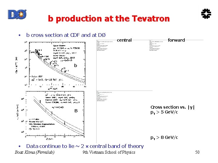 b production at the Tevatron • b cross section at CDF and at DØ