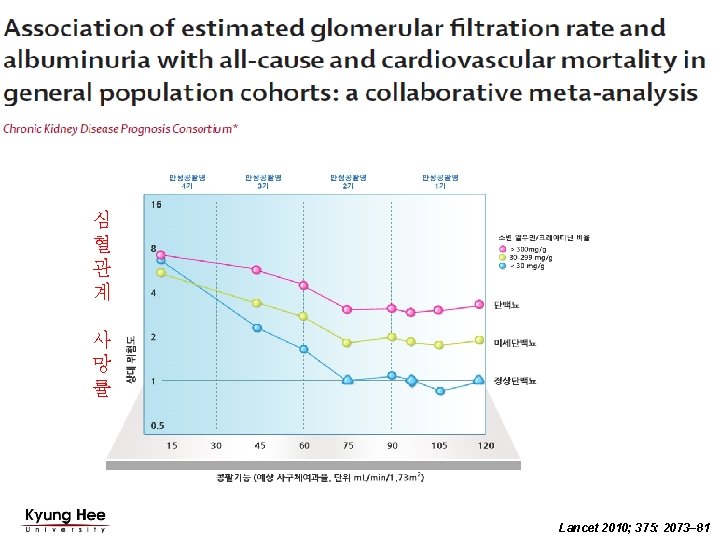 심 혈 관 계 사 망 률 Lancet 2010; 375: 2073– 81 