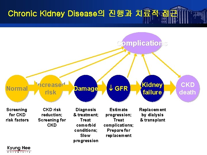 Chronic Kidney Disease의 진행과 치료적 접근 Complications Normal Screening for CKD risk factors Increased