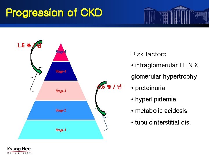 Progression of CKD 1. 5 % / 년 Stage 5 Risk factors • intraglomerular