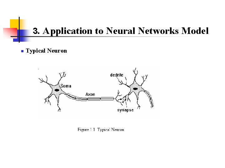 3. Application to Neural Networks Model n Typical Neuron 