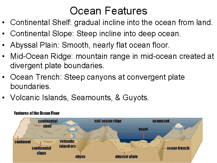 Ocean Features • • Continental Shelf: gradual incline into the ocean from land. Continental