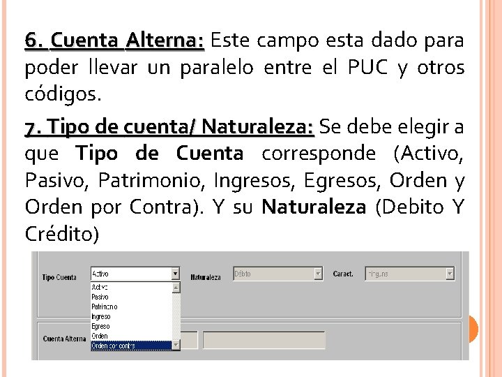 6. Cuenta Alterna: Este campo esta dado para poder llevar un paralelo entre el 6. Cuenta Alterna: Este campo esta dado para poder llevar un paralelo entre el