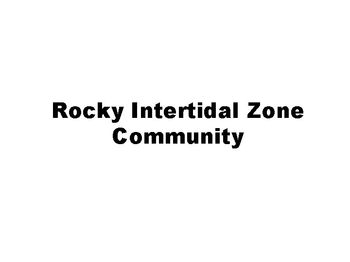 Rocky Intertidal Zone Community 