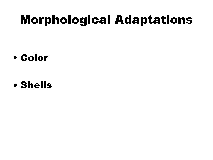 Morphological Adaptations • Color • Shells 