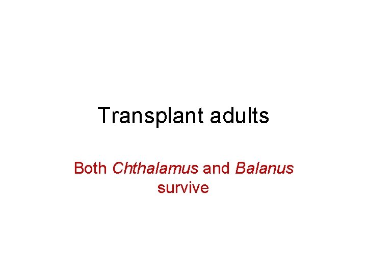 Transplant adults Both Chthalamus and Balanus survive 