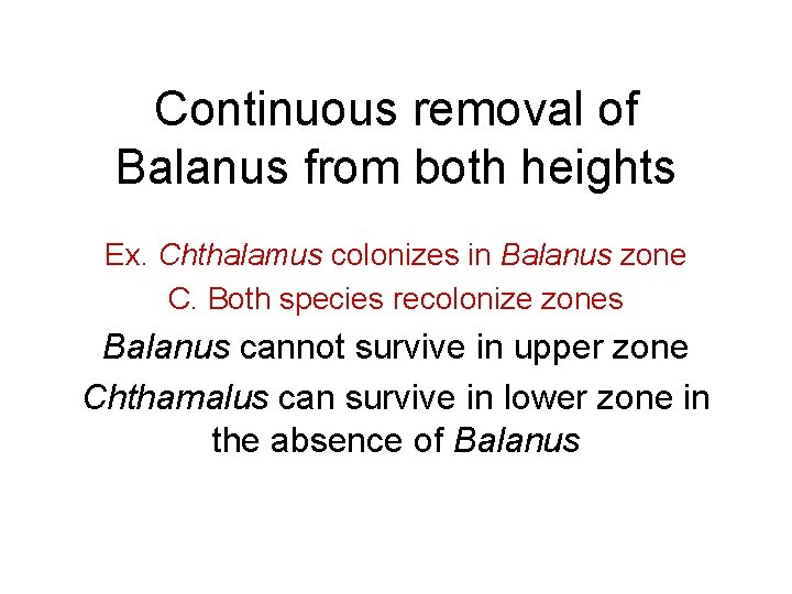 Continuous removal of Balanus from both heights Ex. Chthalamus colonizes in Balanus zone C.