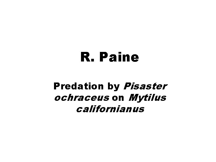 R. Paine Predation by Pisaster ochraceus on Mytilus californianus 