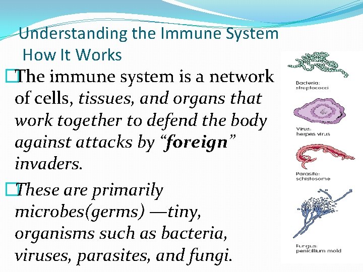 Understanding the Immune System How It Works �The immune system is a network of