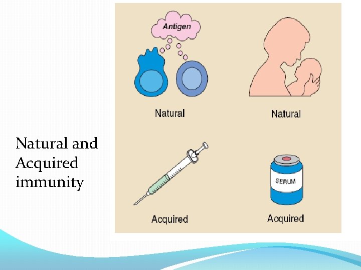 Natural and Acquired immunity 