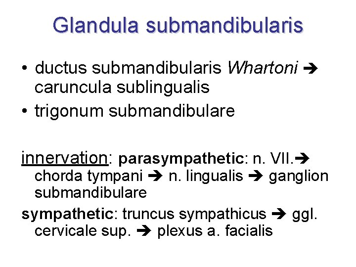 Glandula submandibularis • ductus submandibularis Whartoni caruncula sublingualis • trigonum submandibulare innervation: parasympathetic: n.