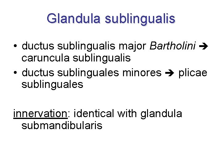 Glandula sublingualis • ductus sublingualis major Bartholini caruncula sublingualis • ductus sublinguales minores plicae