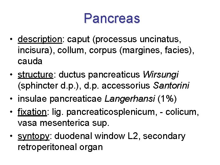 Pancreas • description: caput (processus uncinatus, incisura), collum, corpus (margines, facies), cauda • structure: