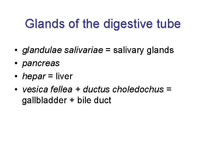 Glands of the digestive tube • • glandulae salivariae = salivary glands pancreas hepar