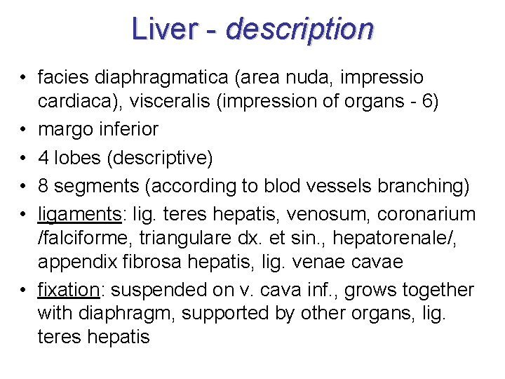 Liver - description • facies diaphragmatica (area nuda, impressio cardiaca), visceralis (impression of organs