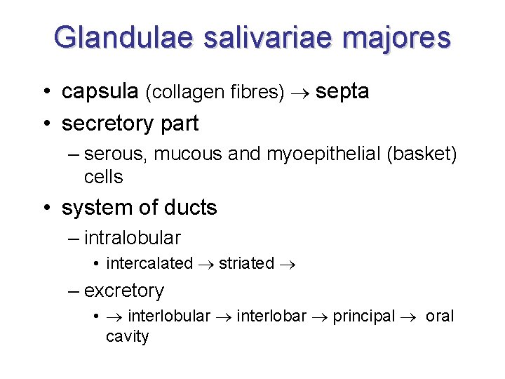 Glandulae salivariae majores • capsula (collagen fibres) septa • secretory part – serous, mucous