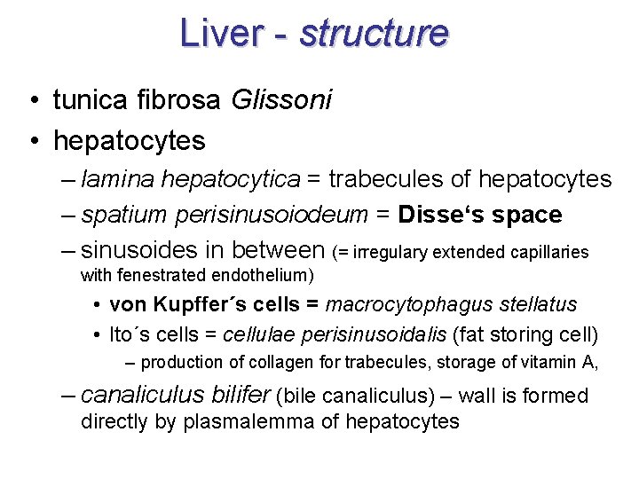 Liver - structure • tunica fibrosa Glissoni • hepatocytes – lamina hepatocytica = trabecules