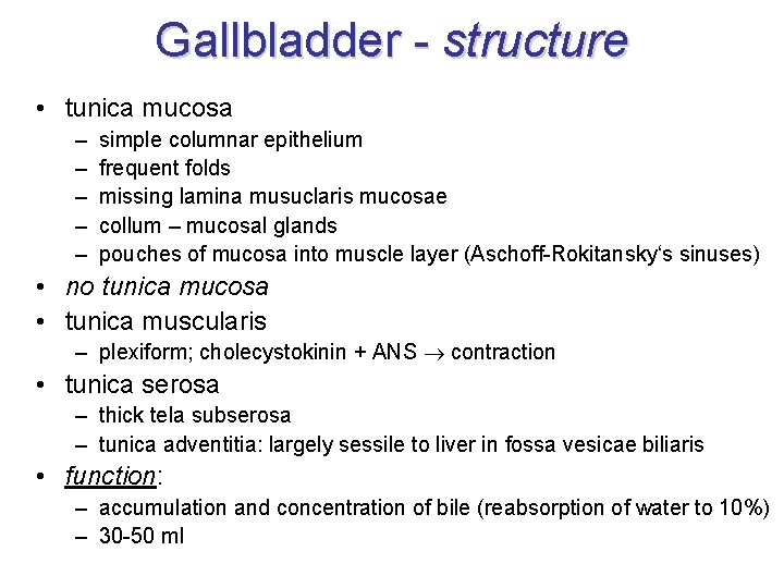 Gallbladder - structure • tunica mucosa – – – simple columnar epithelium frequent folds