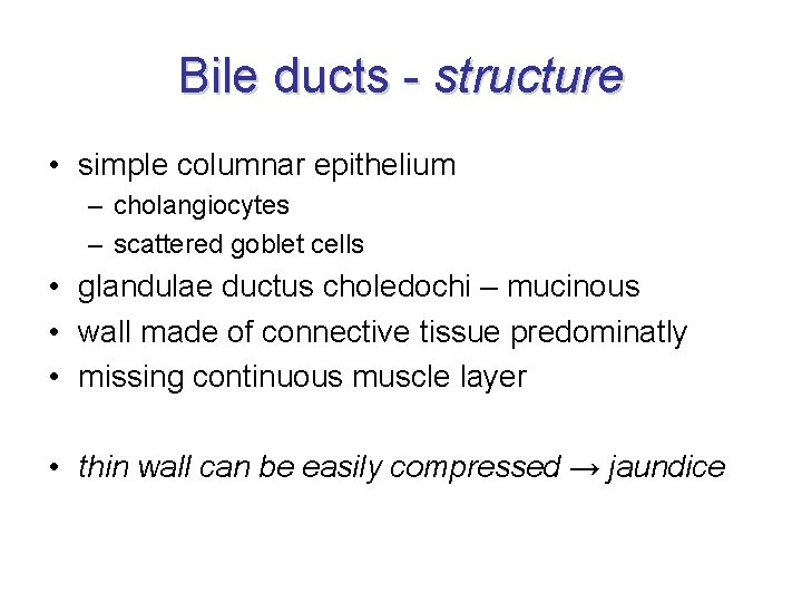 Bile ducts - structure • simple columnar epithelium – cholangiocytes – scattered goblet cells