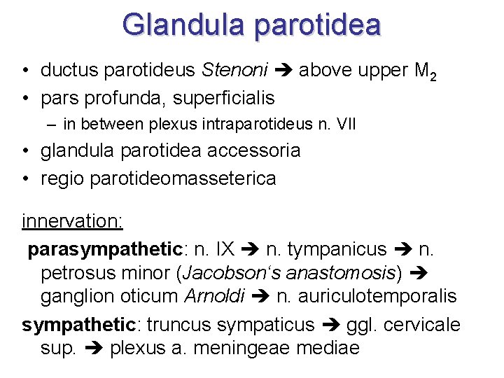 Glandula parotidea • ductus parotideus Stenoni above upper M 2 • pars profunda, superficialis