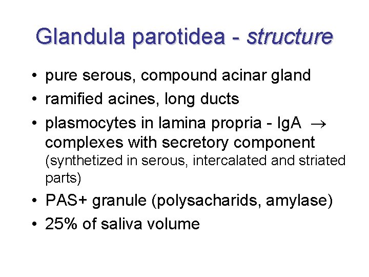 Glandula parotidea - structure • pure serous, compound acinar gland • ramified acines, long
